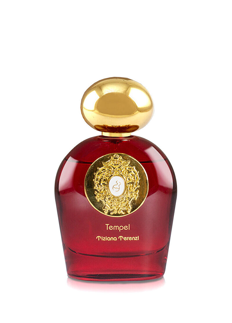 Tiziana Terenzi Comet Tempel