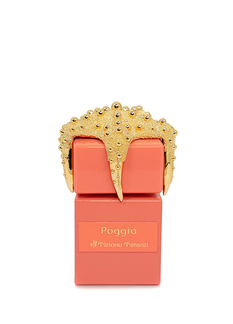 Tiziana Terenzi Sea Stars POGGIA