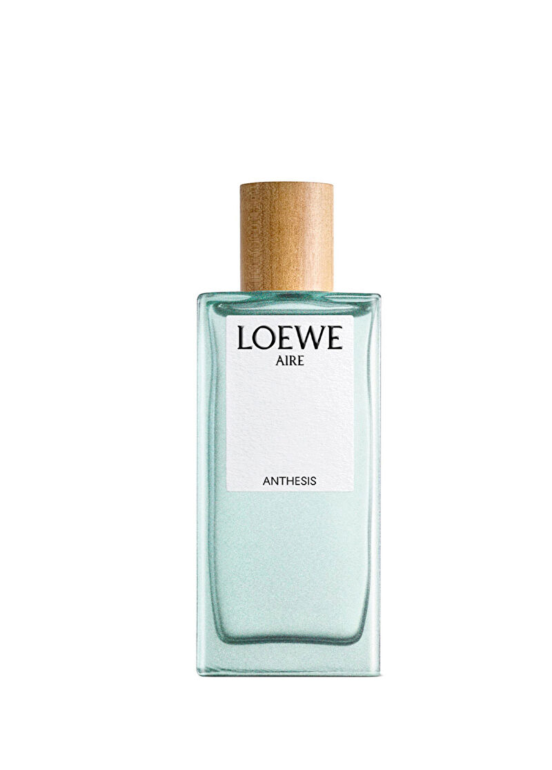 Loewe Aire Anthesis