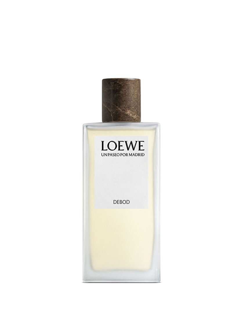 Loewe Debod
