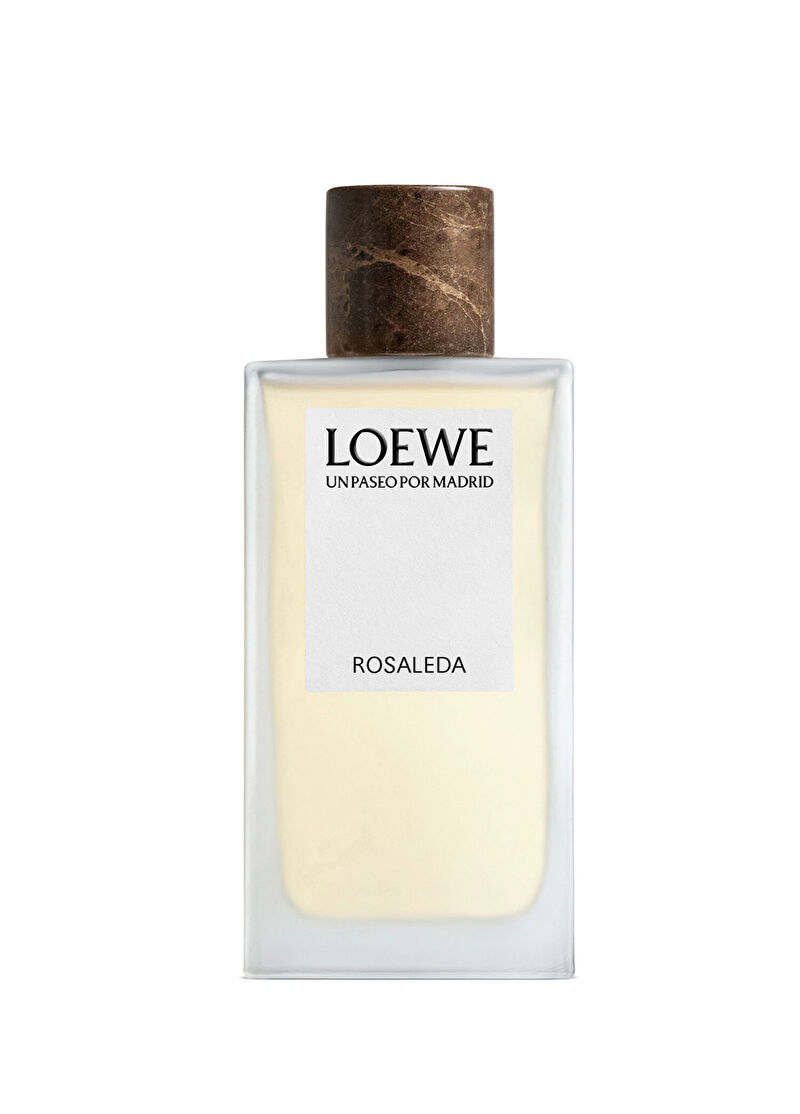 Loewe Loewe Rosaleda
