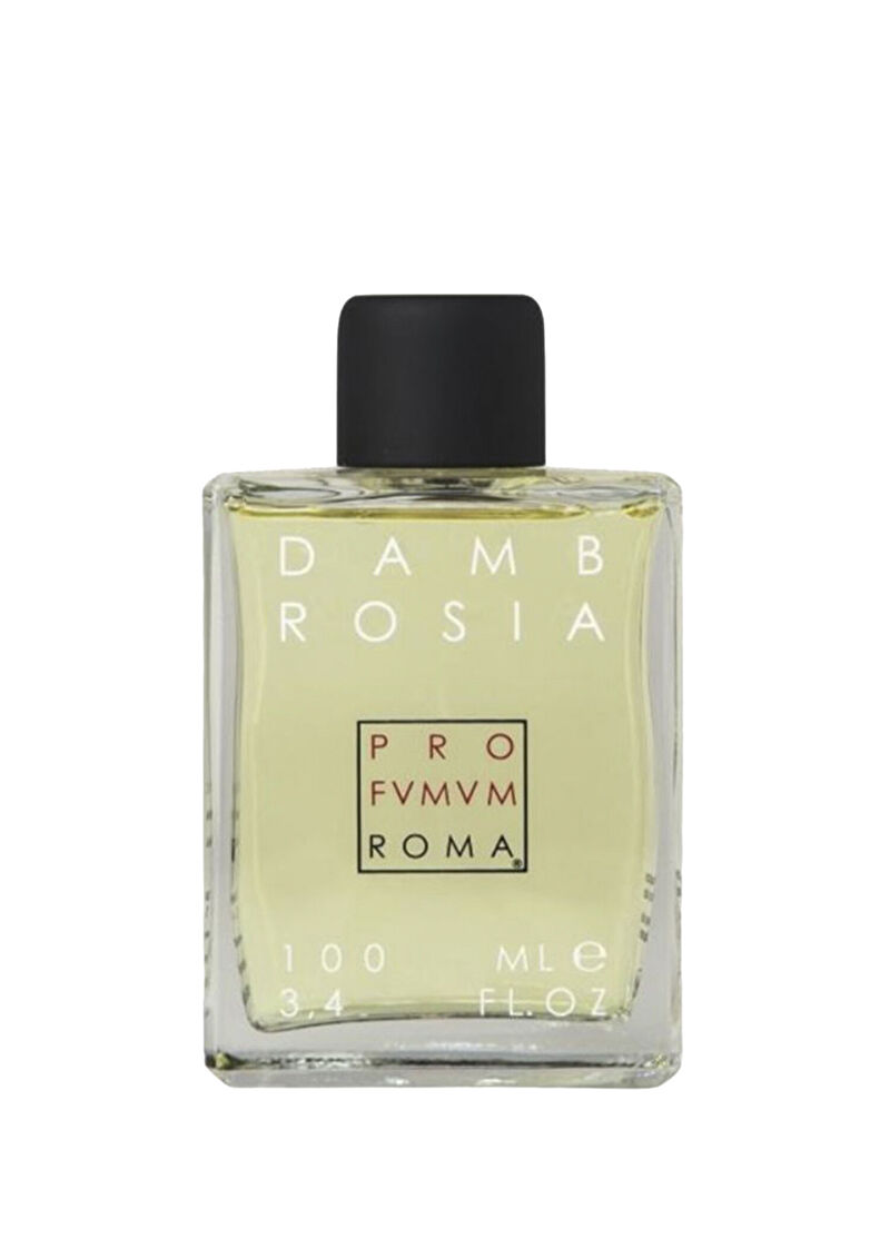 PROFUMUM ROMA Dambrosia