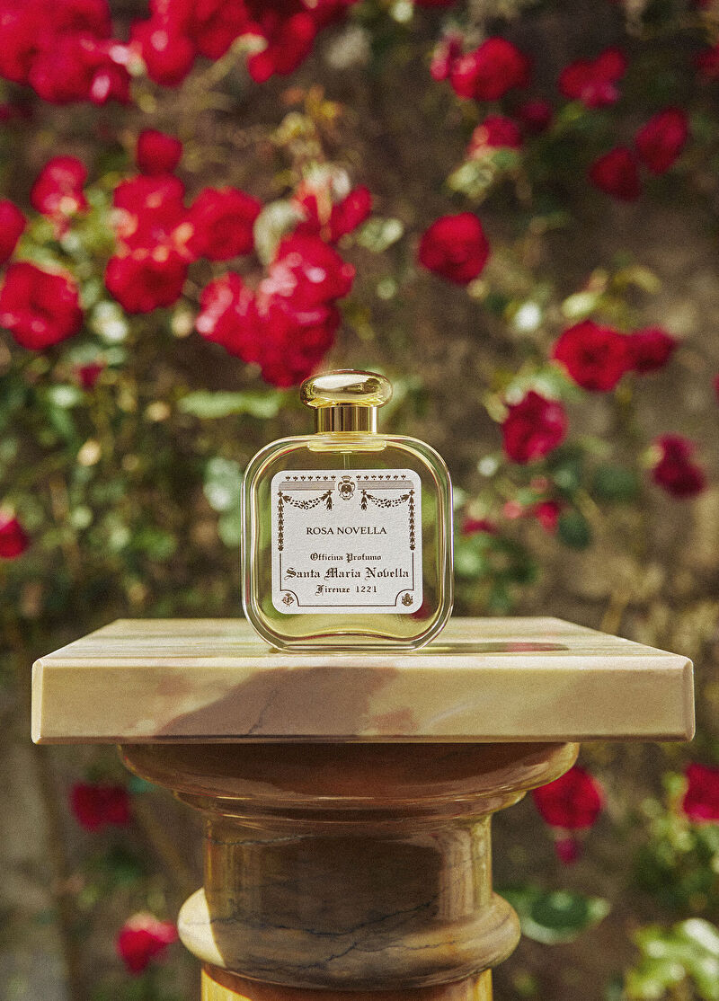 Santa Maria Novella Rosa Novella