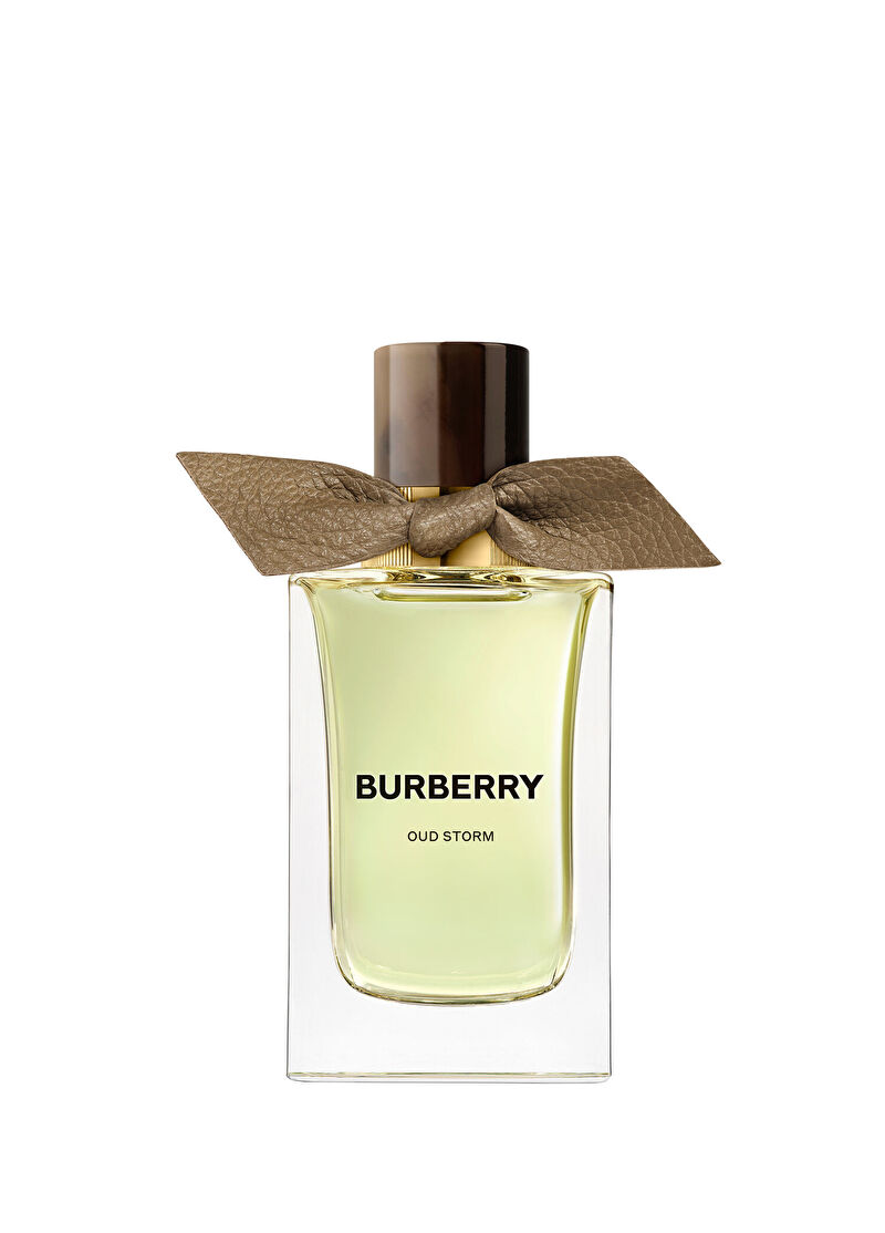 Burberry Sigrnatures Collection Oud Storm