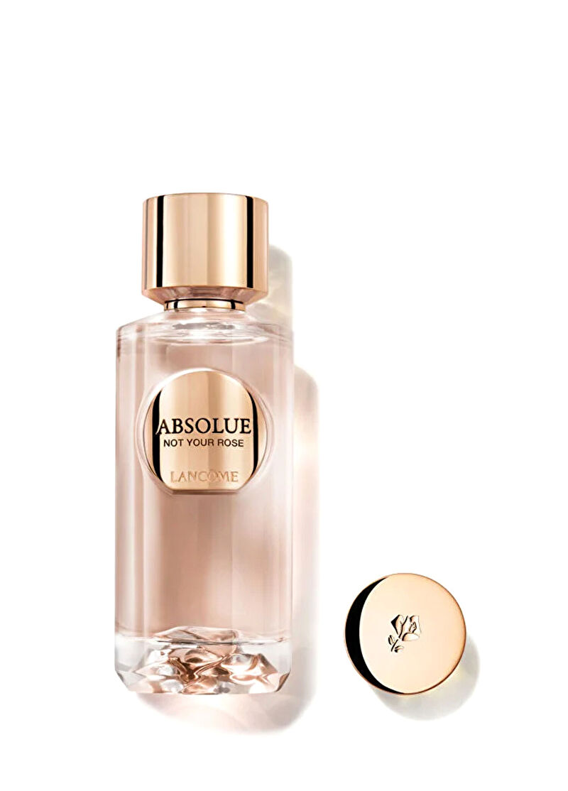 Lancome Absolue Not Your Rose